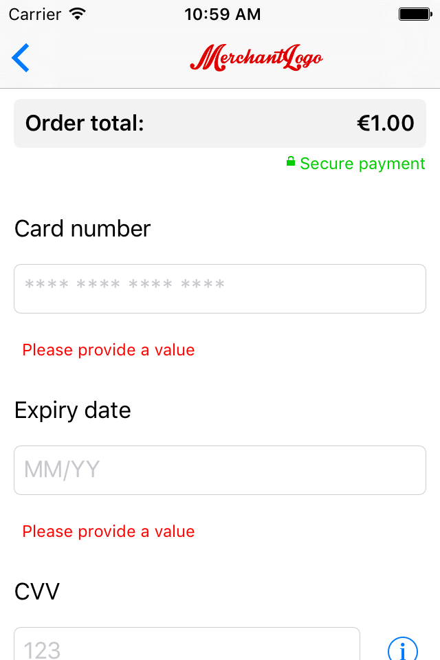 The image above shows the payment product input form screen after validation.